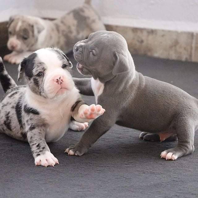 469821230 584208264193421 7822805468077621120 n