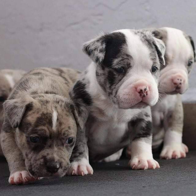 469985266 584208600860054 8103845571513720395 n