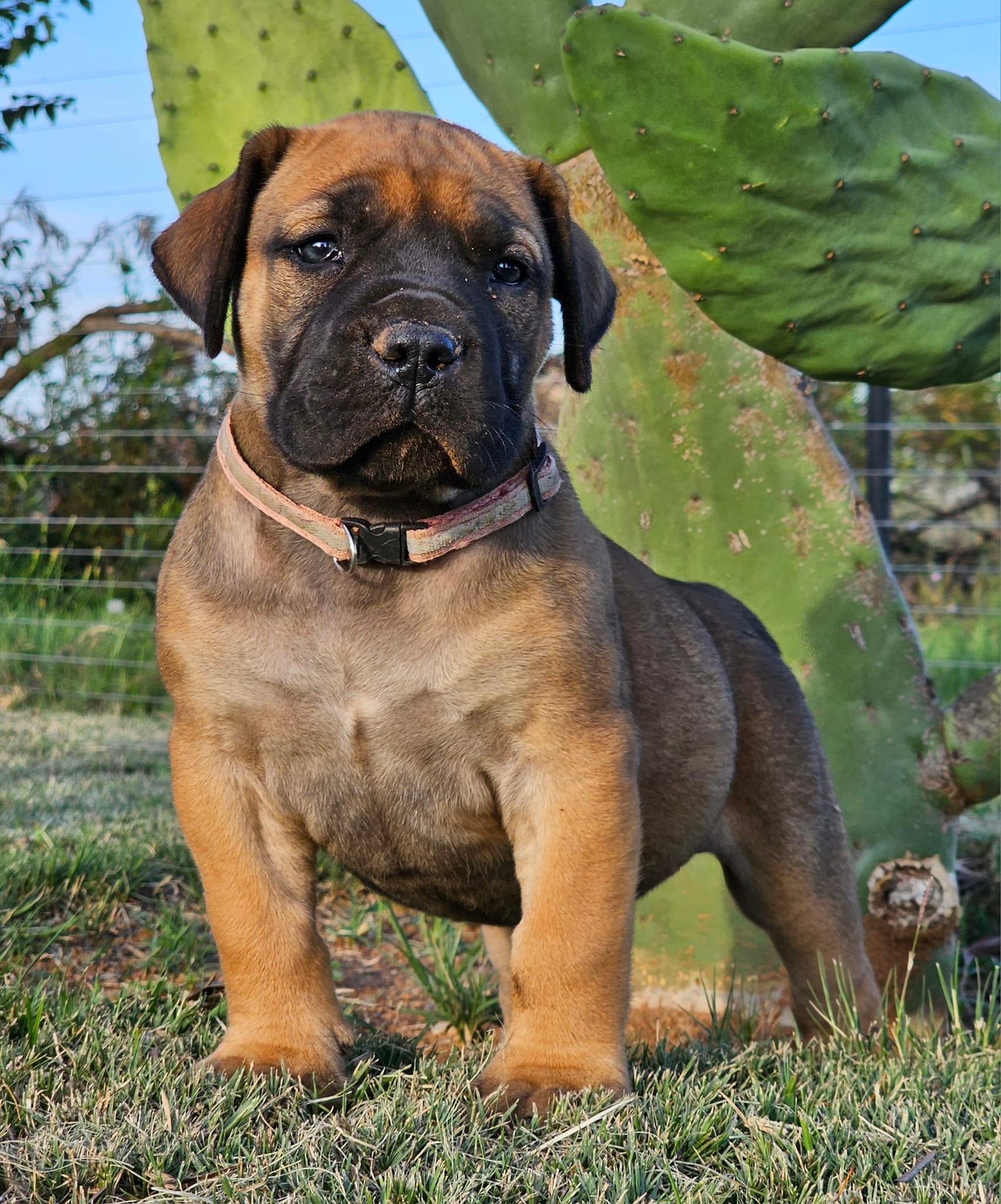 483823222 661403203210510 7091501081595072351 n