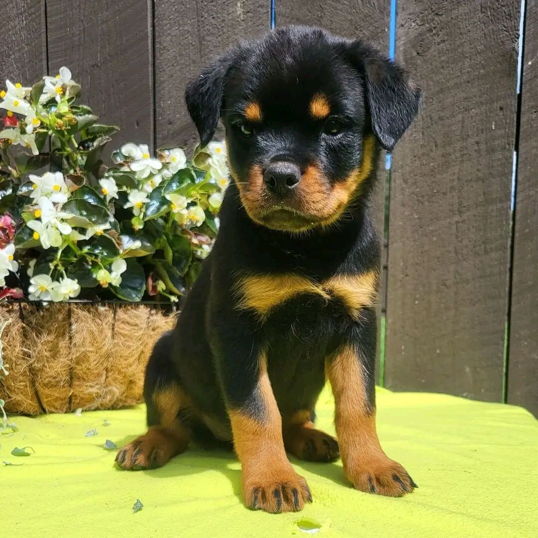 602926837 122113480641082690 765925946679608611 n