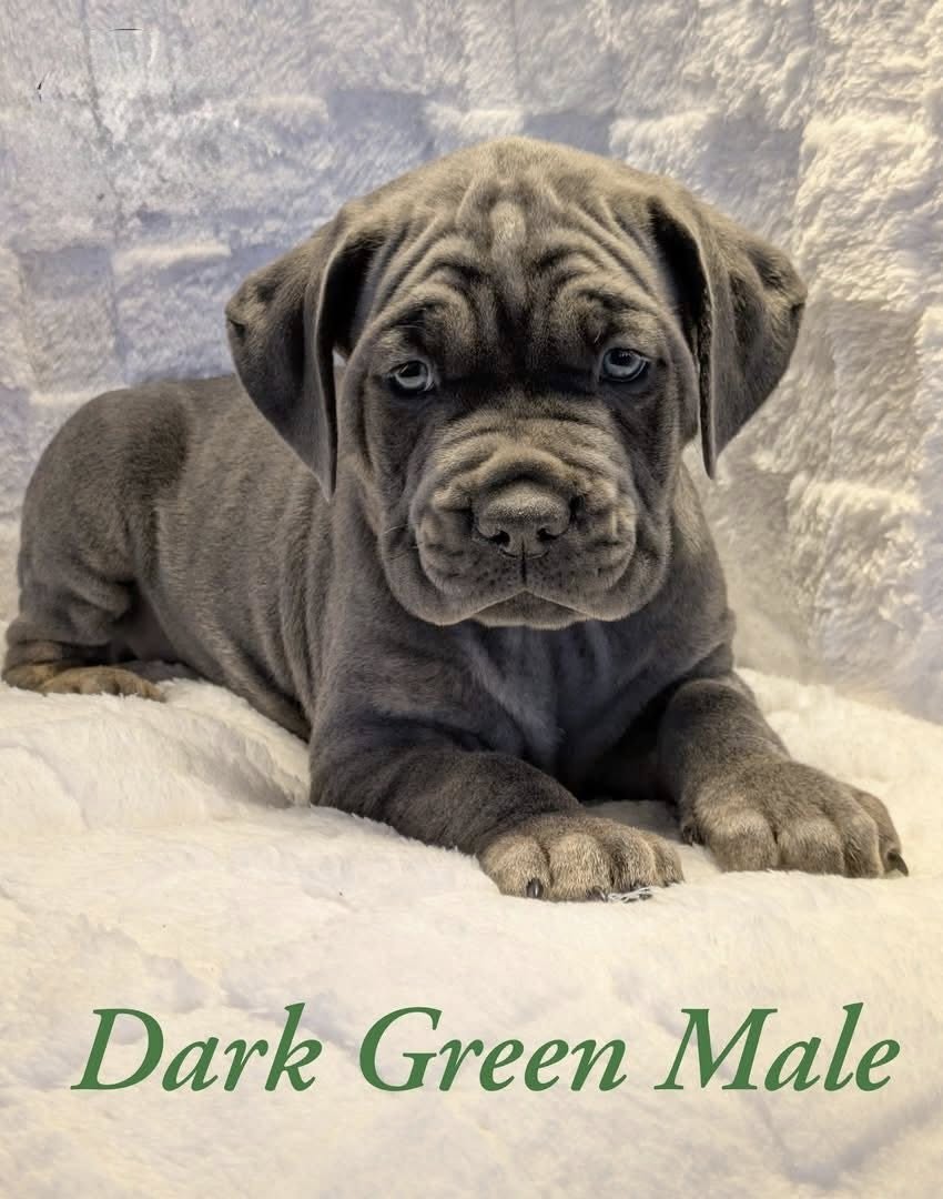 604514953 122116886013053713 3957160397629870952 n