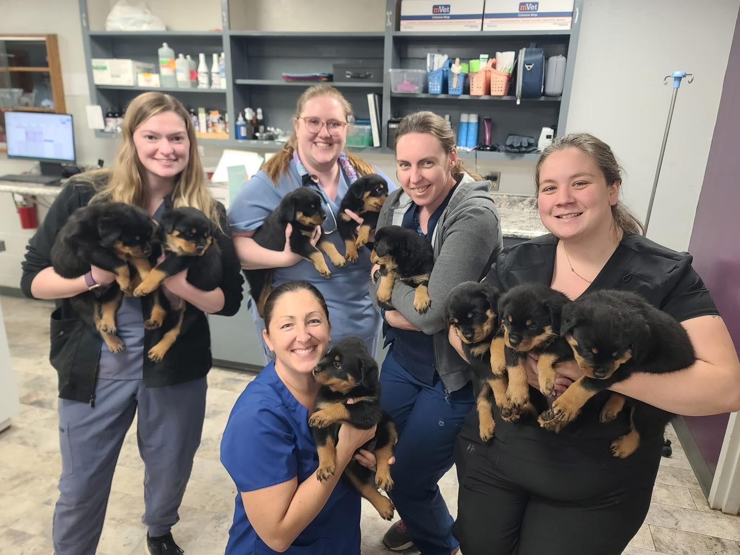 605249392 122098438419187808 783394371072554112 n