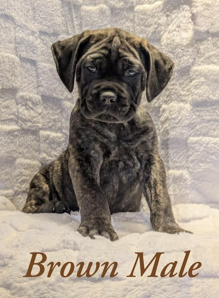 605736941 122116885857053713 3102271954014342417 n