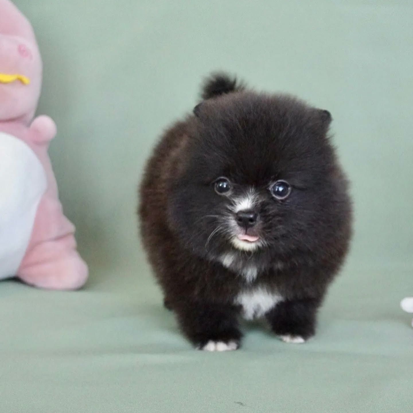 612078931 122110540659158542 8569166482052278954 n